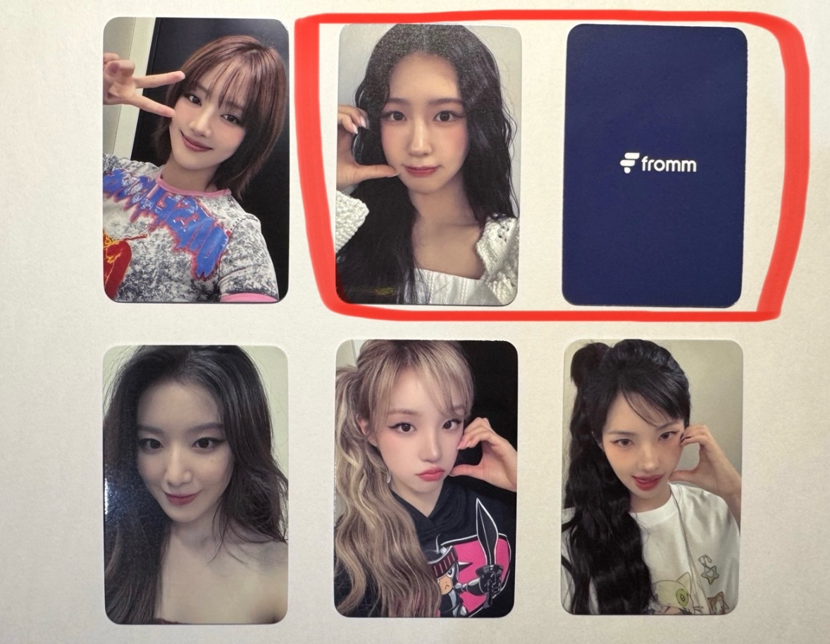 日巡直播卡+專輯