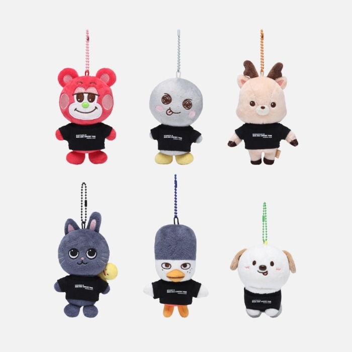 2025 RIIZE CONCERT TOUR [RIIZING LOUD] 官方周邊-LITTLE RIIZE娃娃