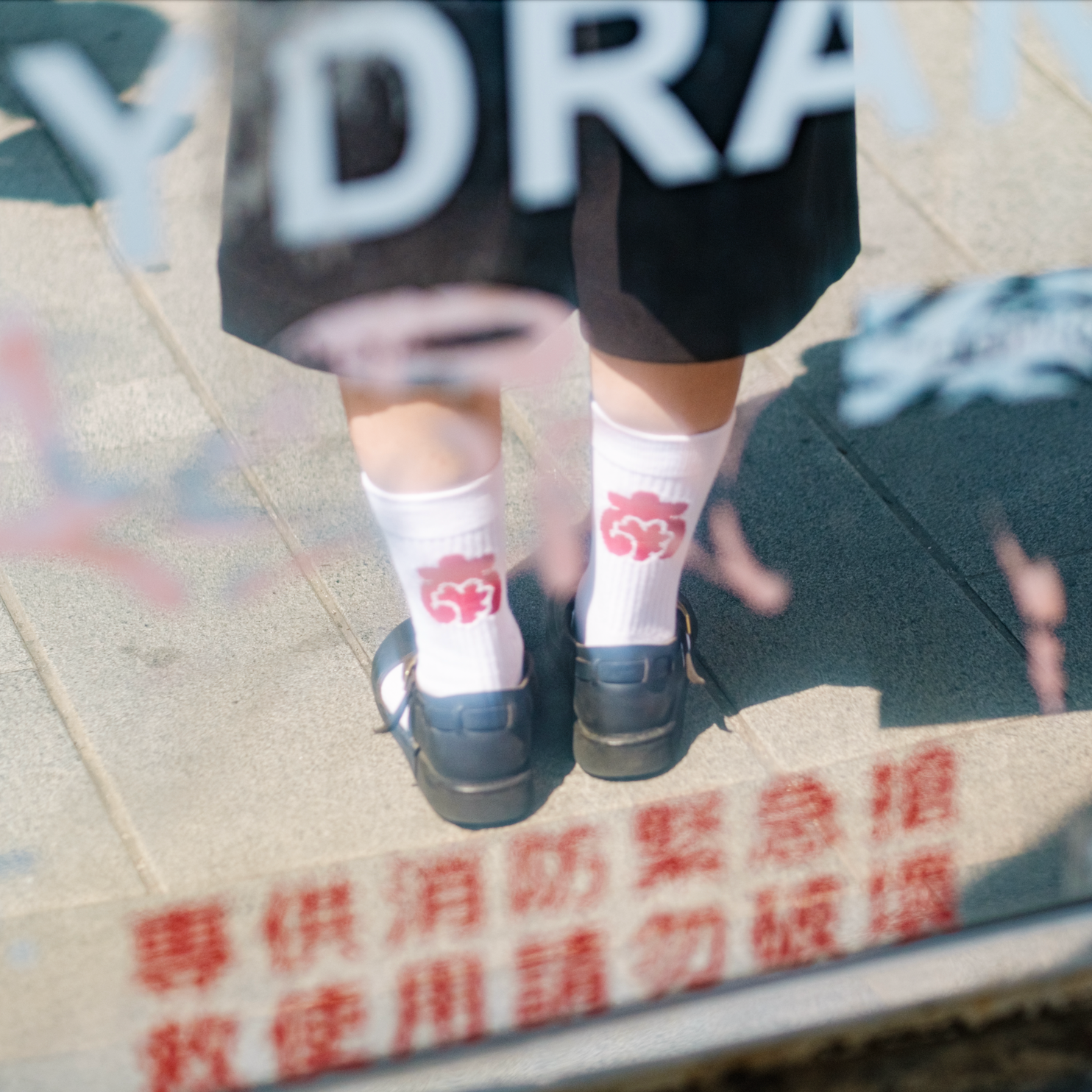 【難得優惠中】⟢ 台南襪襪襪 ⟢