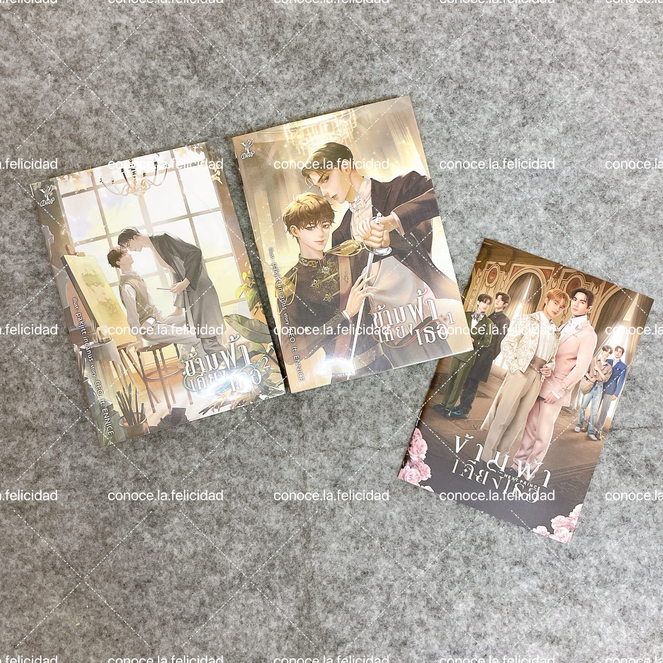 穿越天際靠近你 泰文原文小說