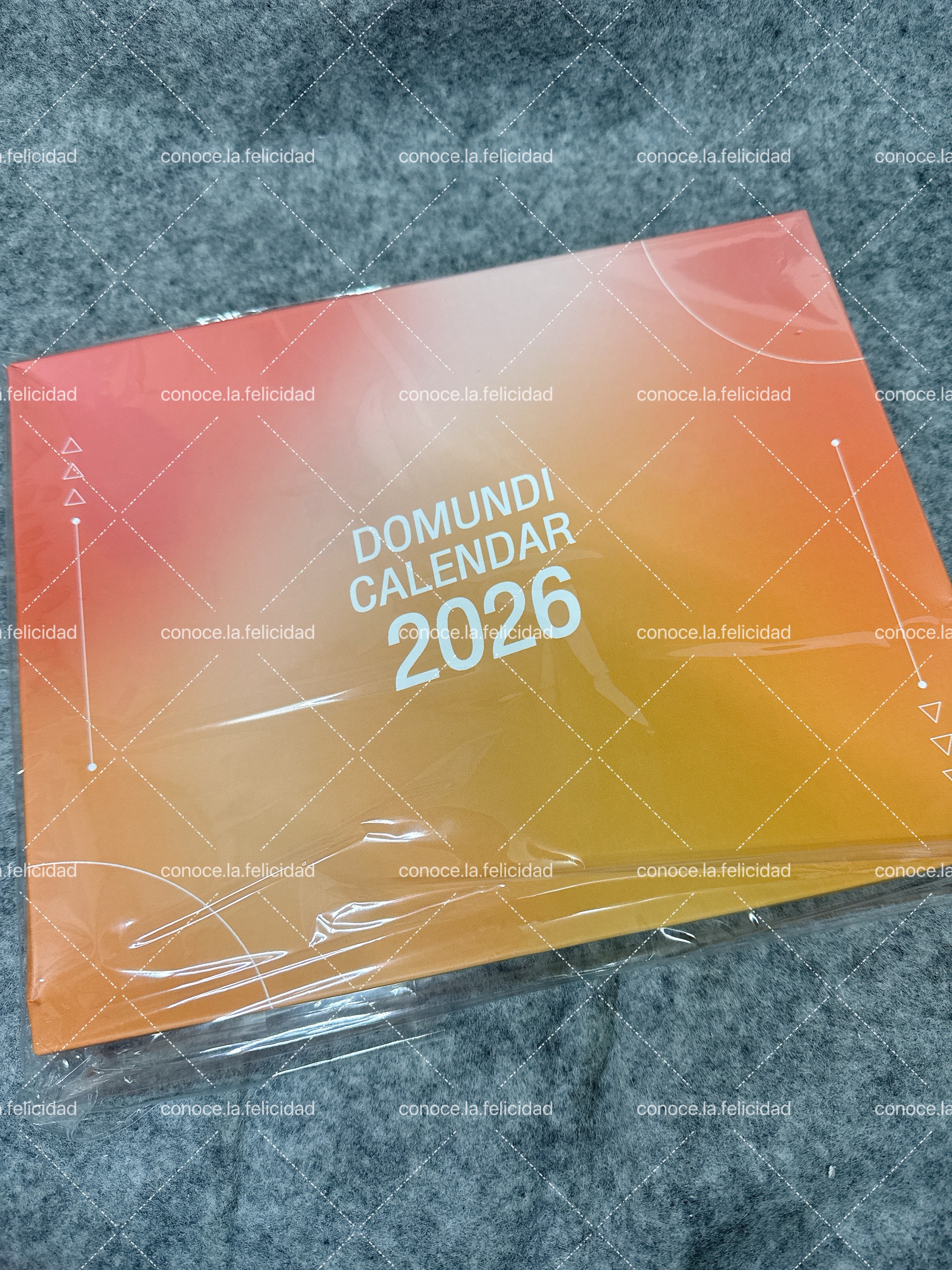 2026桌曆 - DMD boys