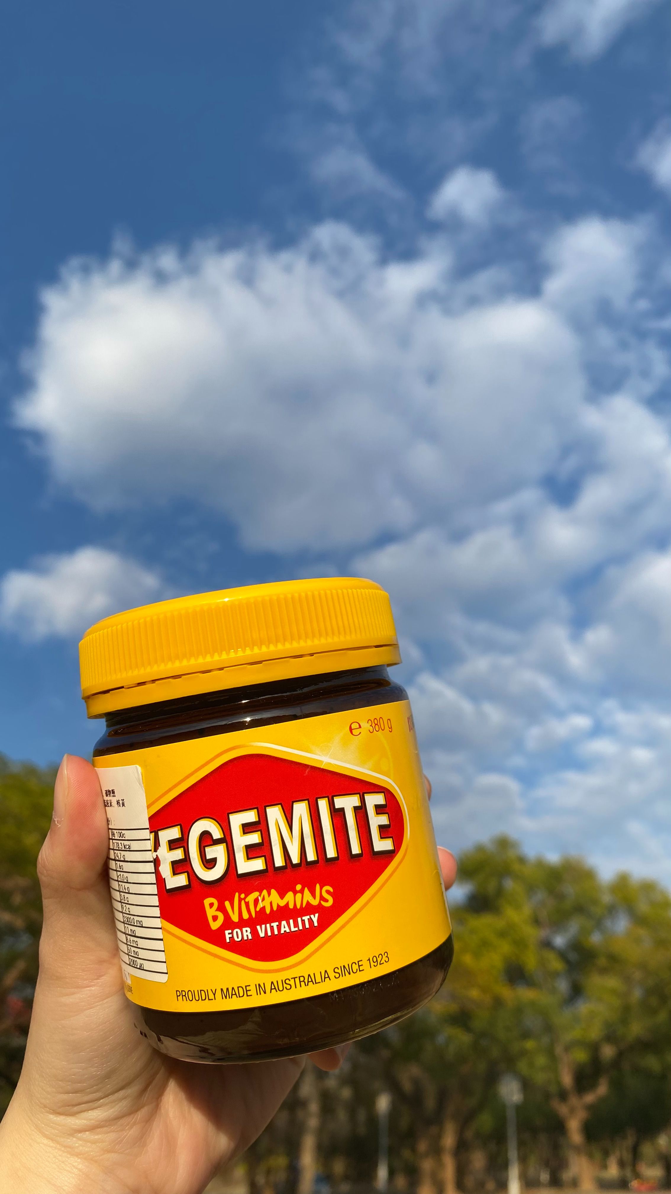 澳洲代購 澳洲商品 Vegemite 酵母醬 鹹香 國民美食 維生素B群 吐司夥伴