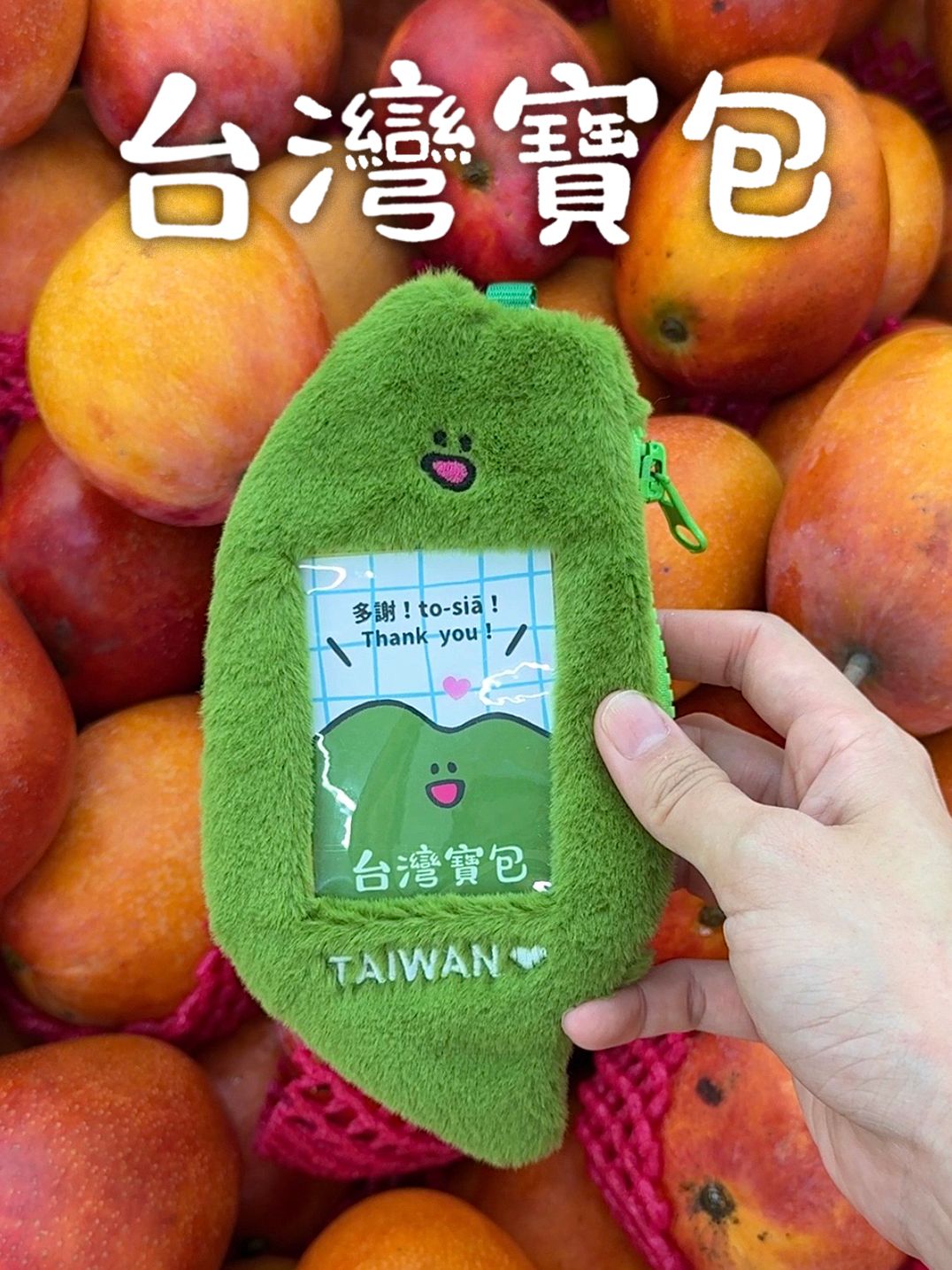 【台灣寶包💚票卡夾】贈送台灣小baby貼紙✨每人限購３個