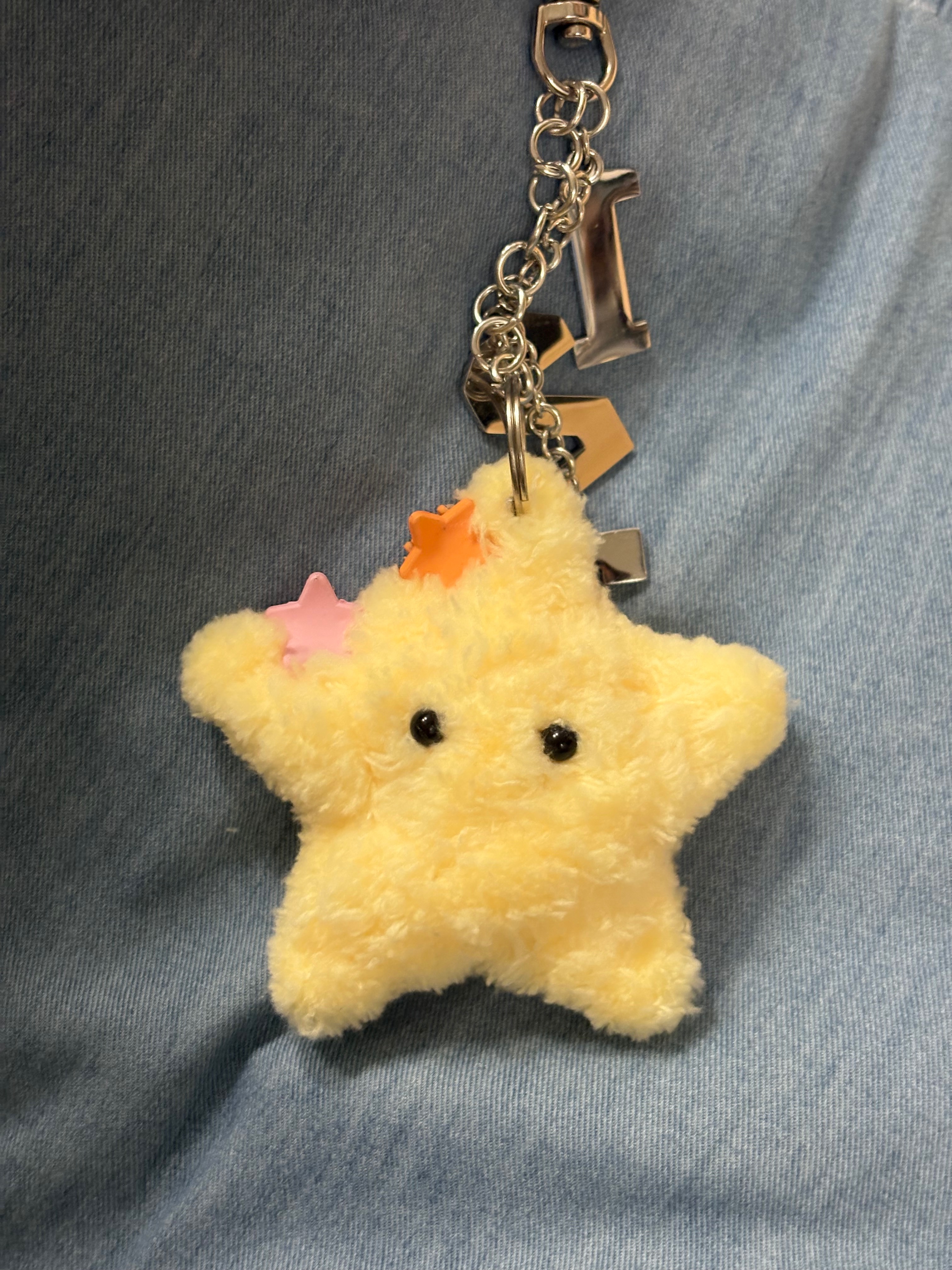 絨毛小海星🌟