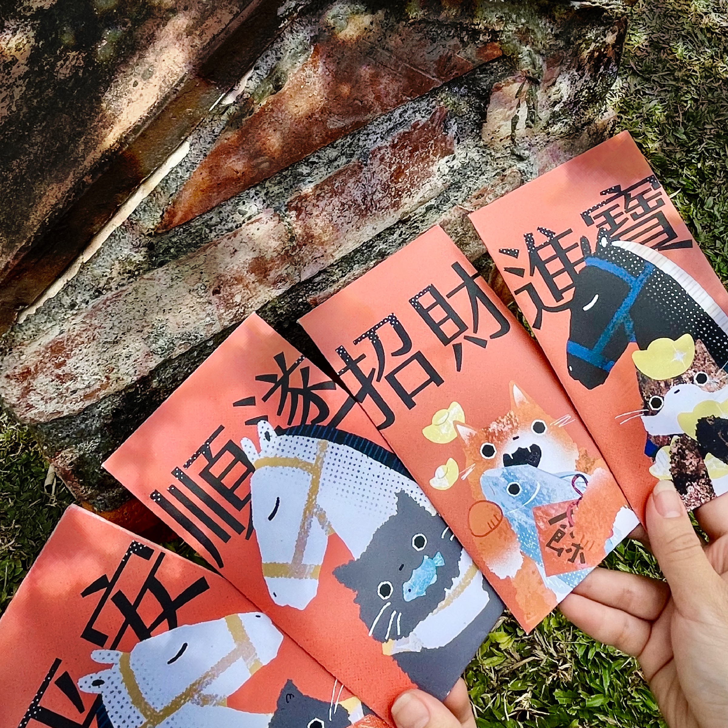 馬年限定·貓貓祝福紅包袋