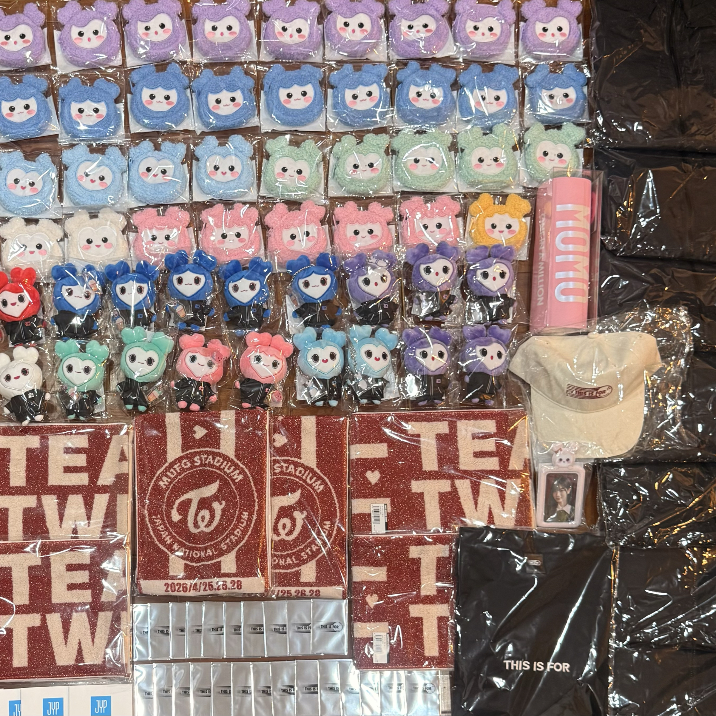 ［現貨包手］🇯🇵TWICE 新國立系列週邊