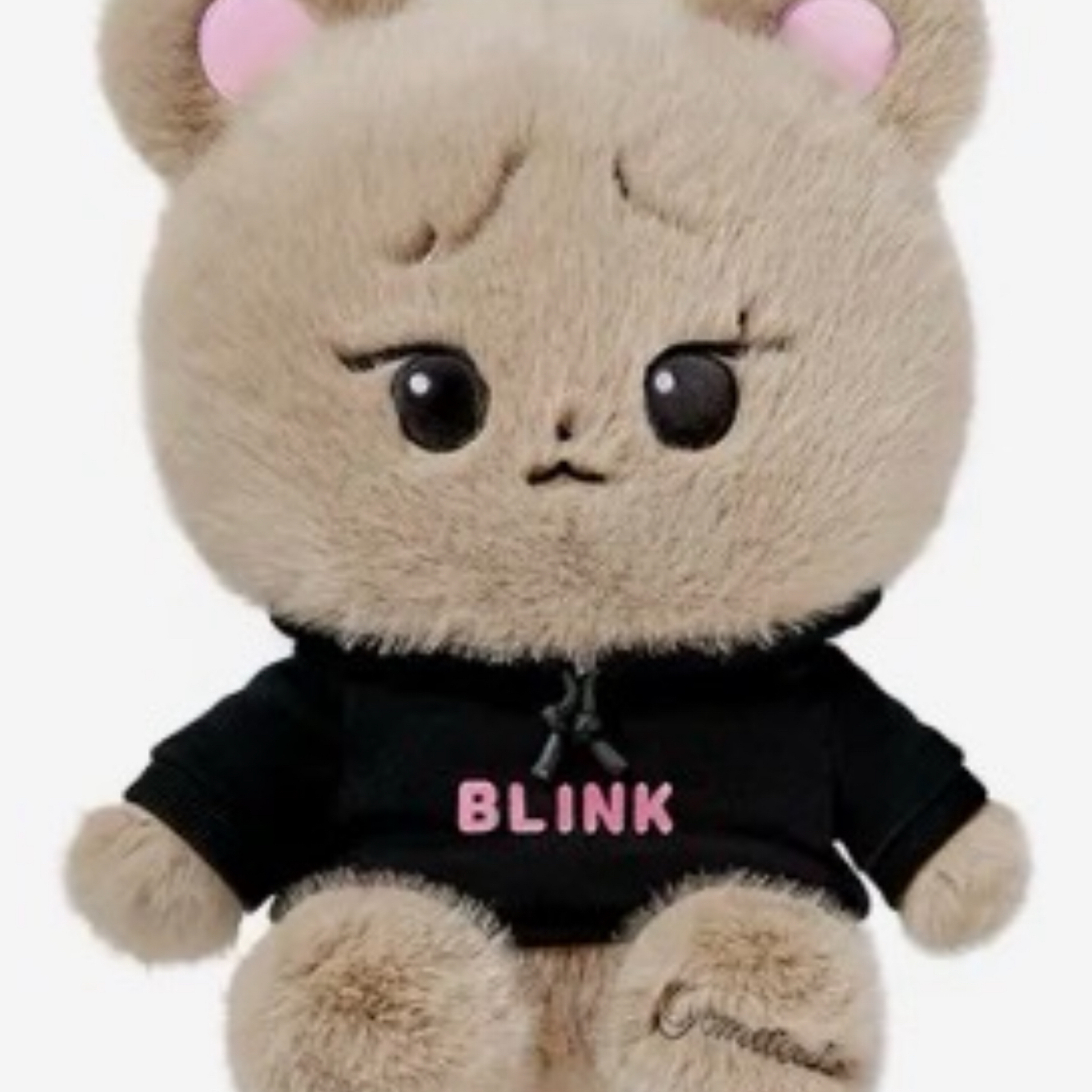 BP COLLECTION 絨毛大娃 全新盒損版（完美主義勿下單）