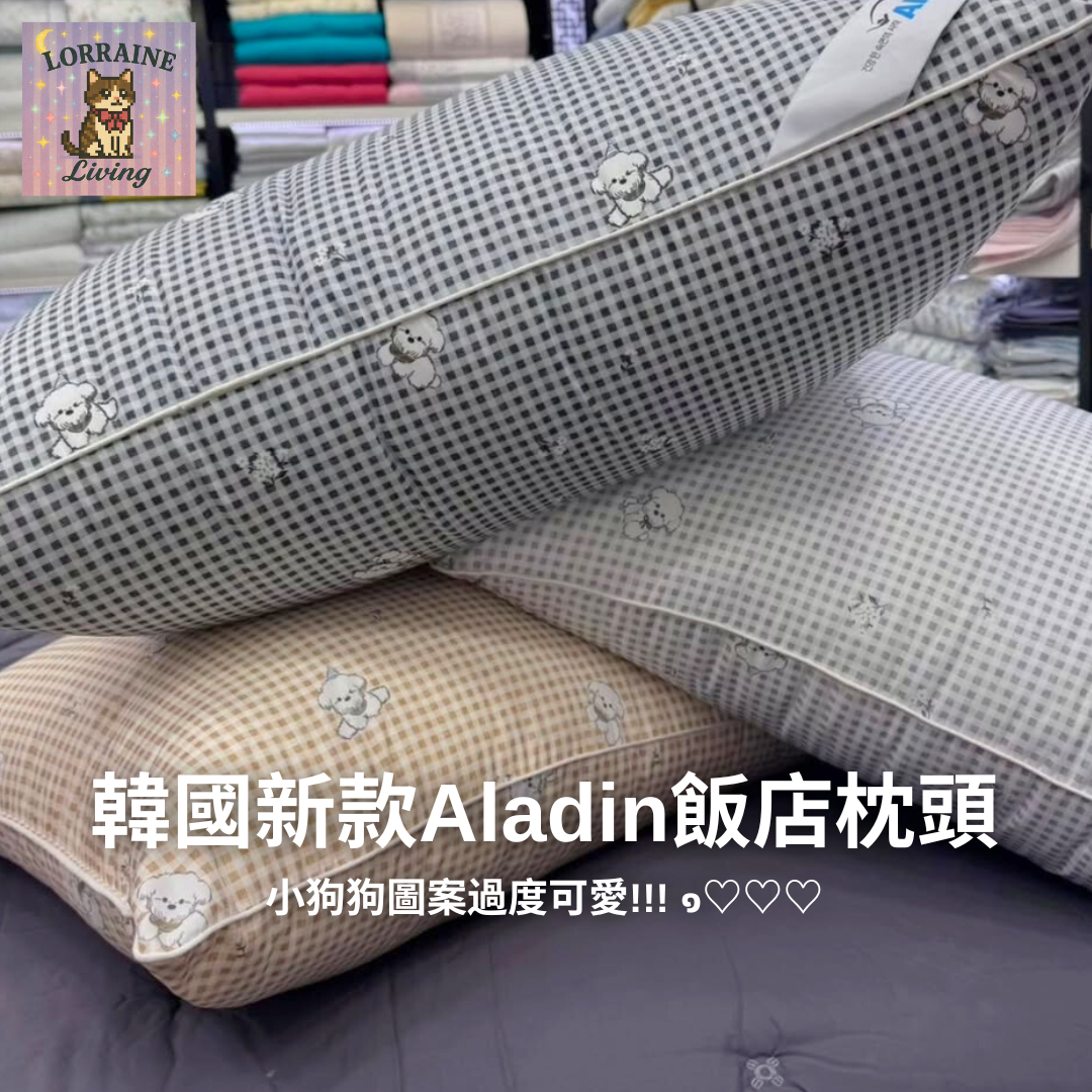 韓國新品飯店枕頭 💡 Aladin飯店系微纖維枕 回彈快速⭐️