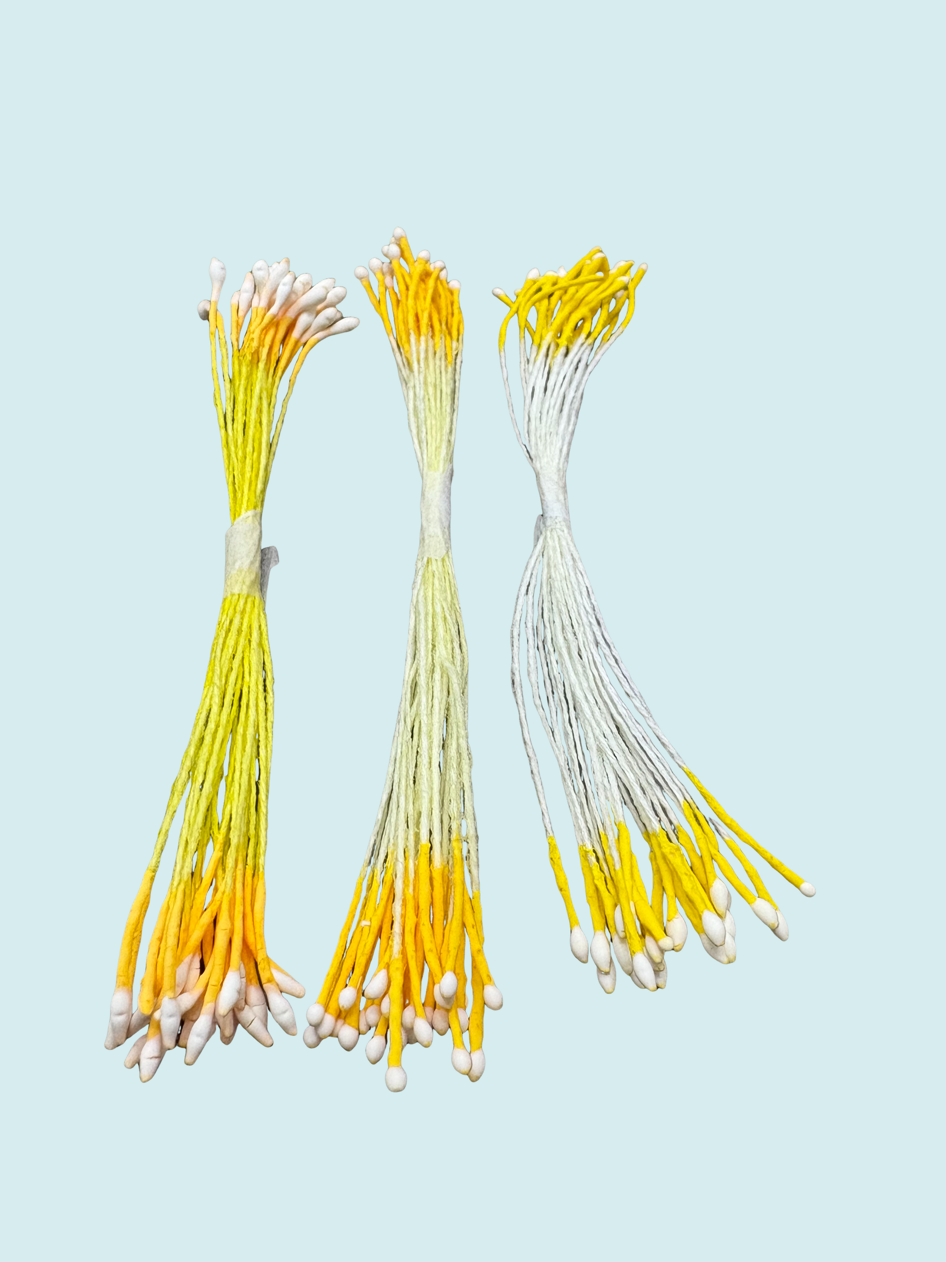 長穗狀花心（牡丹、荷花）大白花心（蘭花）與 聖誕紅花心