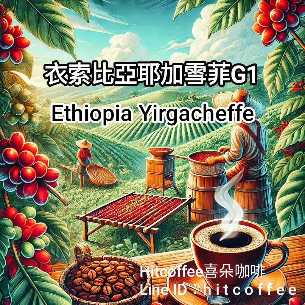 衣索匹亞耶加雪妃咖啡水洗 G1等級 Ethiopian Yirgacheffe 水洗G1咖啡有口皆碑HIT COFFEE