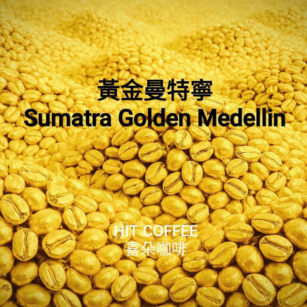 黃金曼特寧咖啡~蘇門答臘~精選咖啡豆~Sumatra G o l d e n Mandheling ~喜朵咖啡有口皆碑