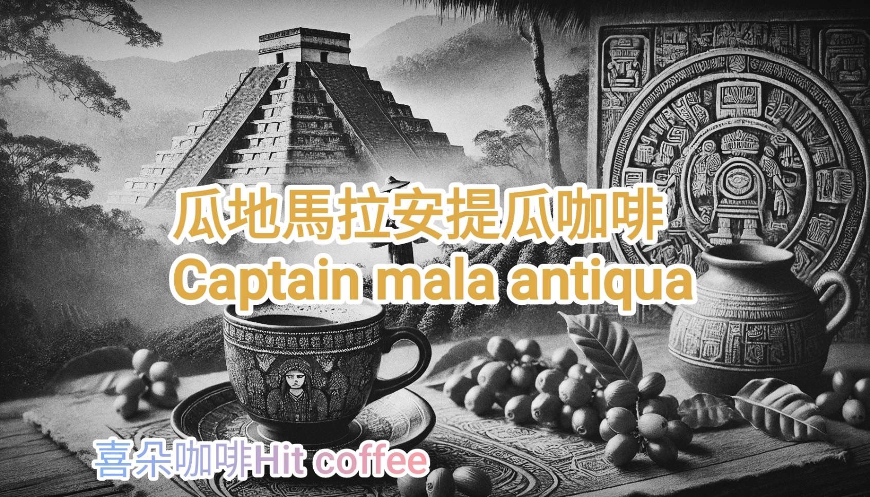 喜朵咖啡嚴選咖啡系列~瓜地馬拉安提瓜花神淺烘焙（水洗法）乾淨香氣酸度佳Guatemala Antigua