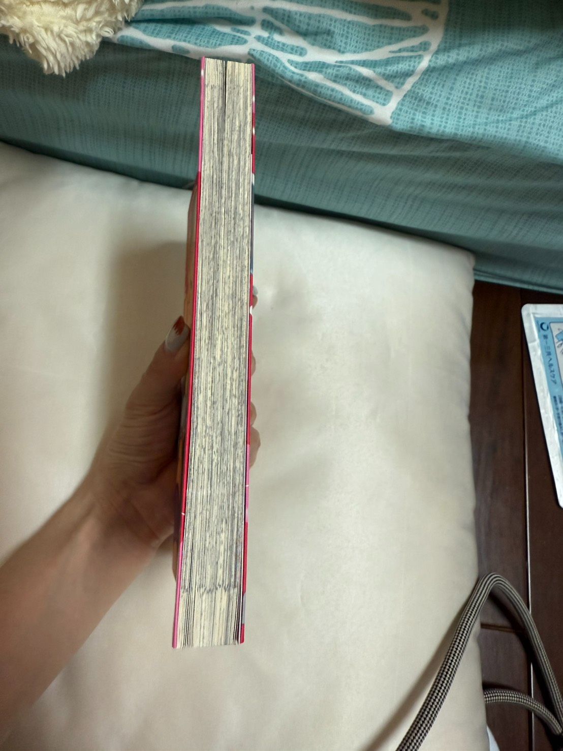 櫻桃派是A罩杯（全一冊）