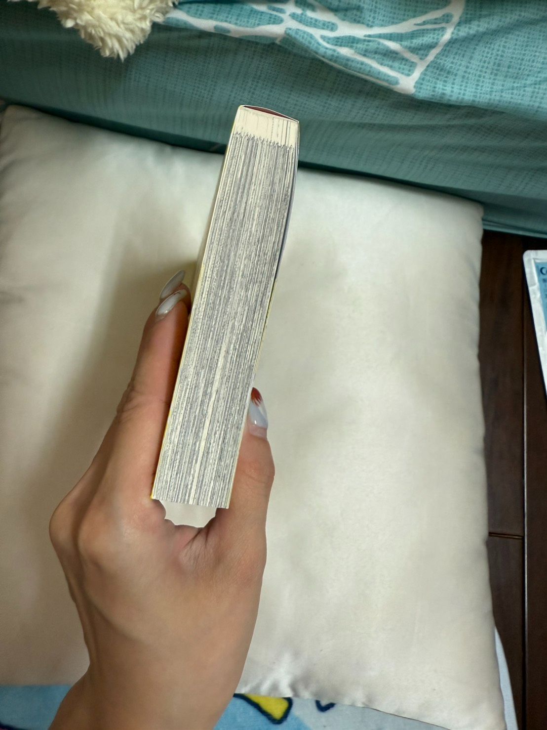 顏面躲貓貓 （全一冊）