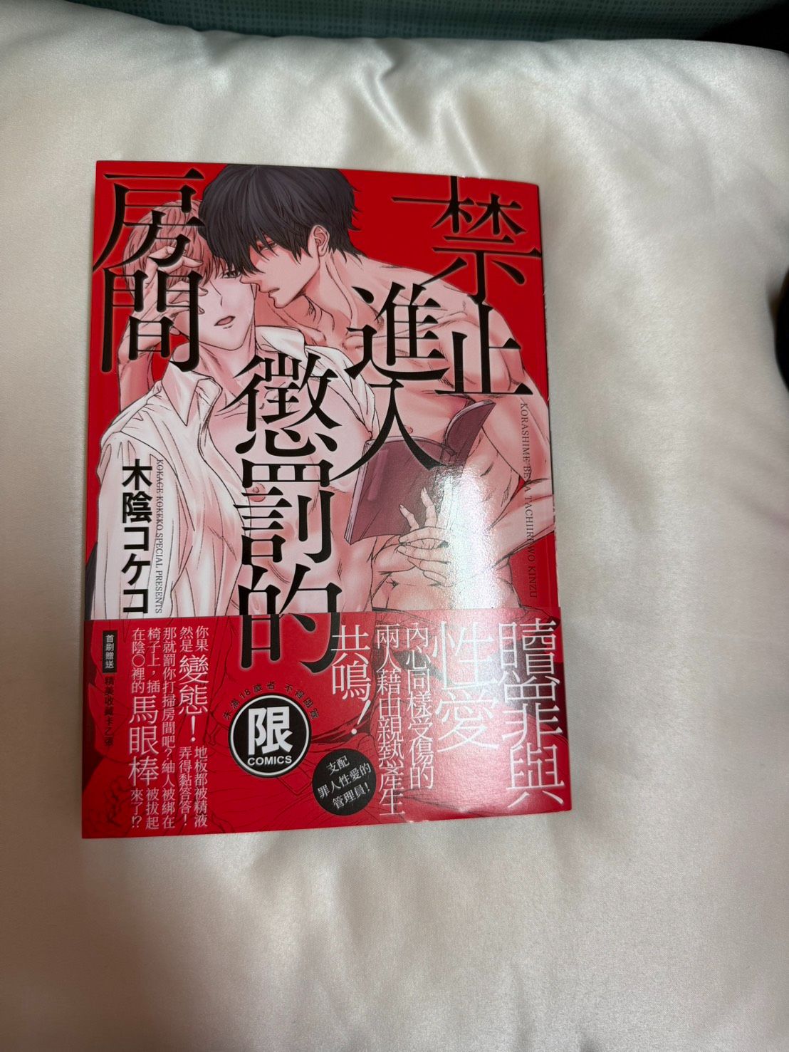 禁止進入懲罰的房間（全一冊）