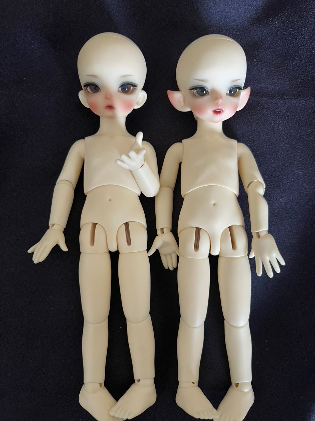 Soom 六分 果蝠 白肌 人耳