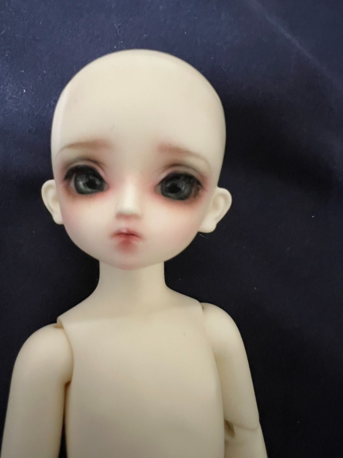 littlemonica Luisie 白肌 六分