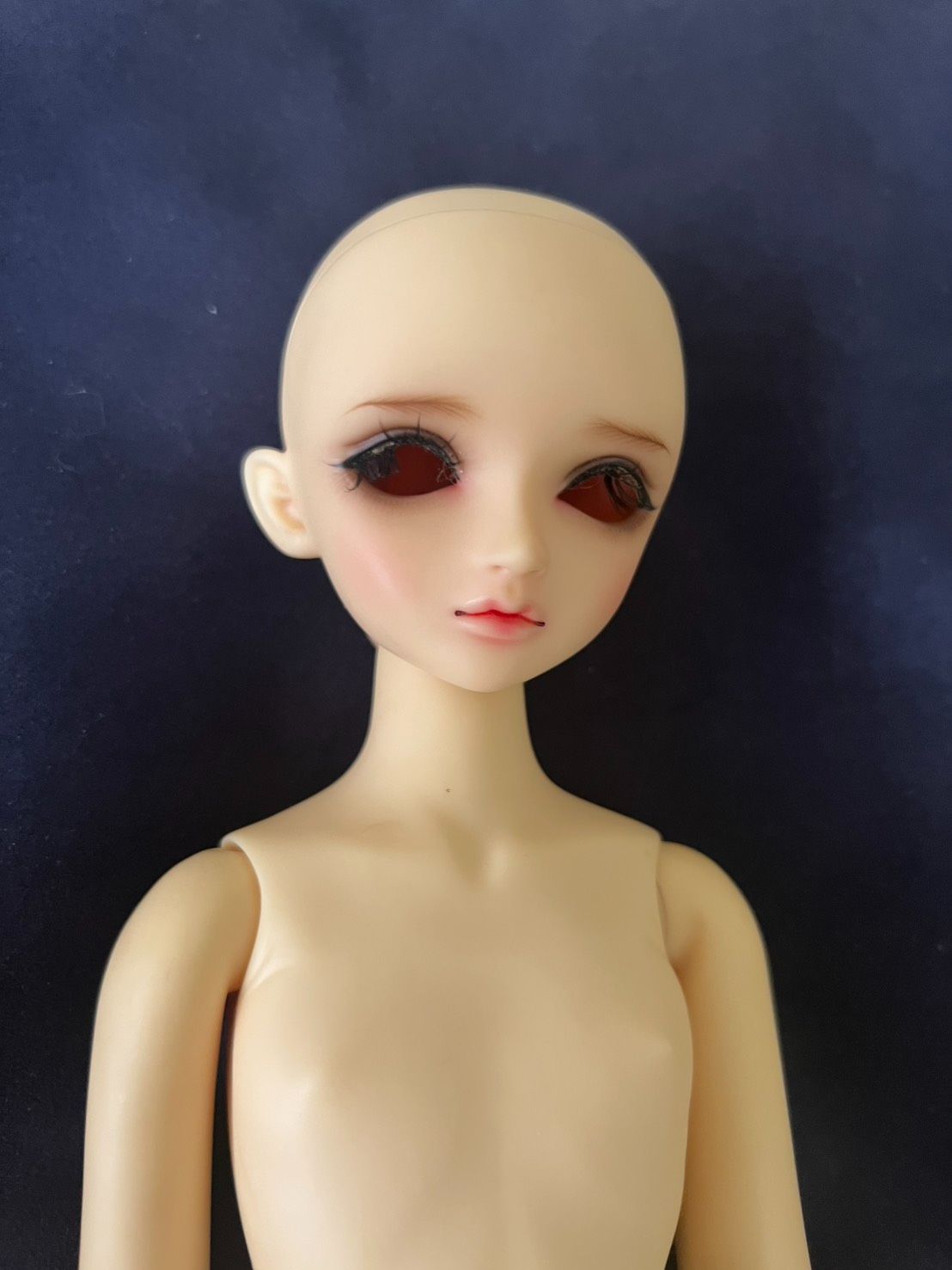 VOLKS MSD Liz 四分 普肌