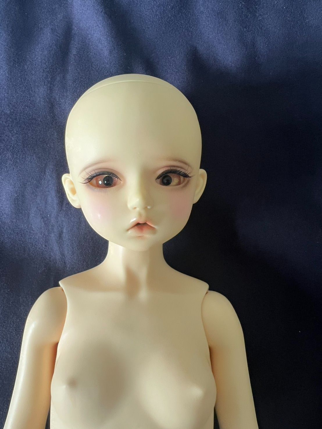 ChikaBI Kanaria 三分 普肌