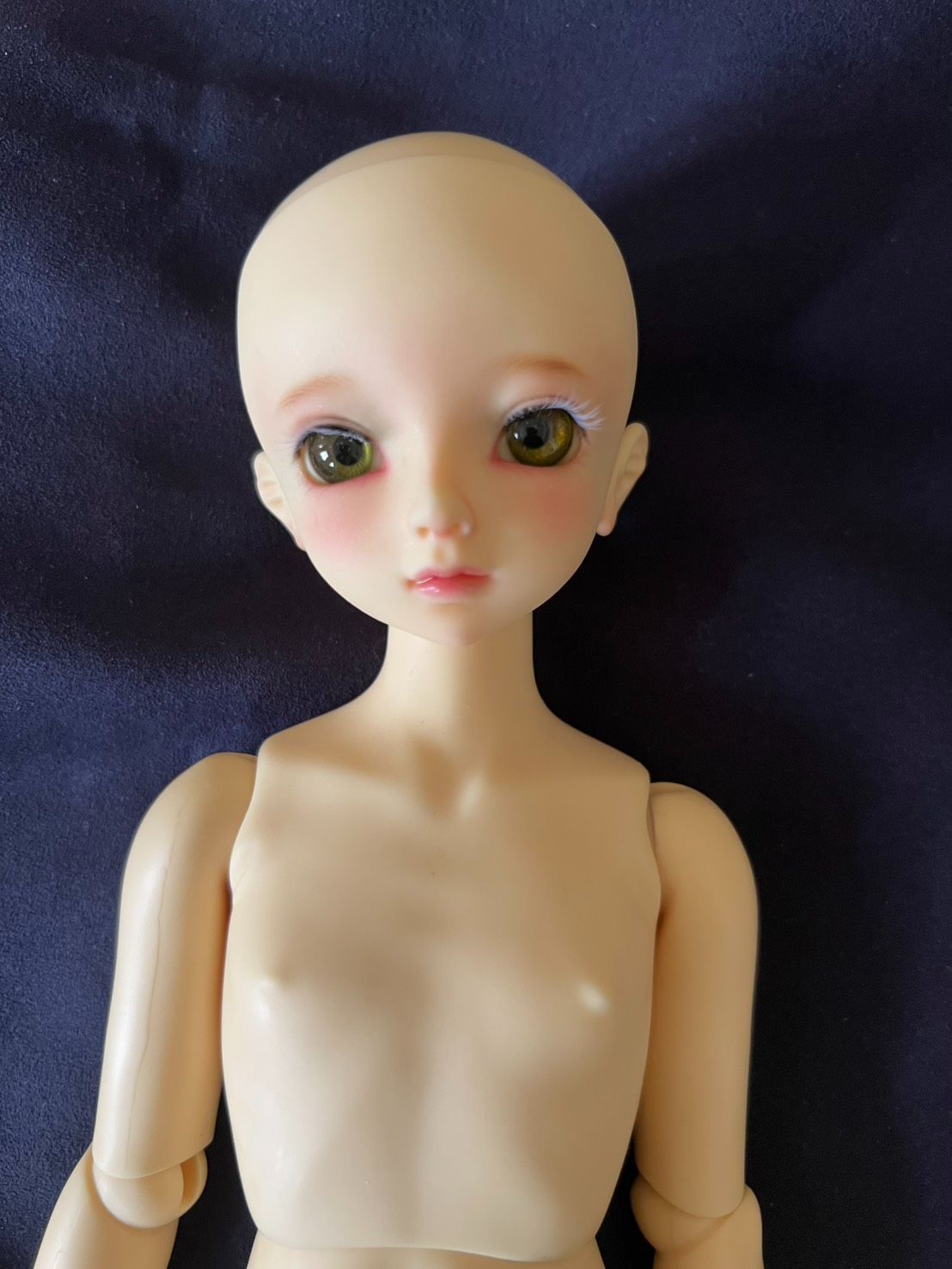 VOLKS F29 MSD 普肌