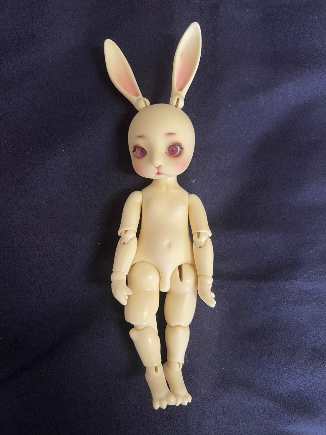 動物兔兔娃 白肌