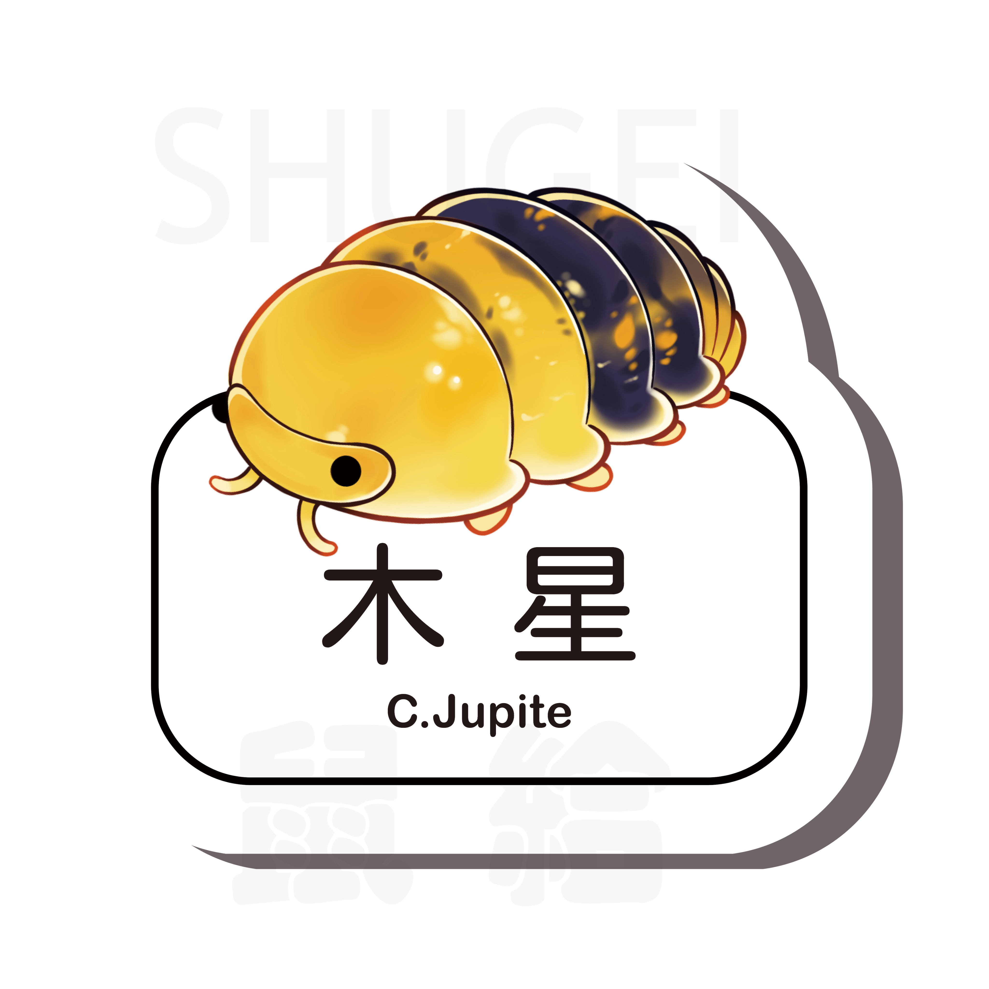 鼠婦名牌貼紙C屬