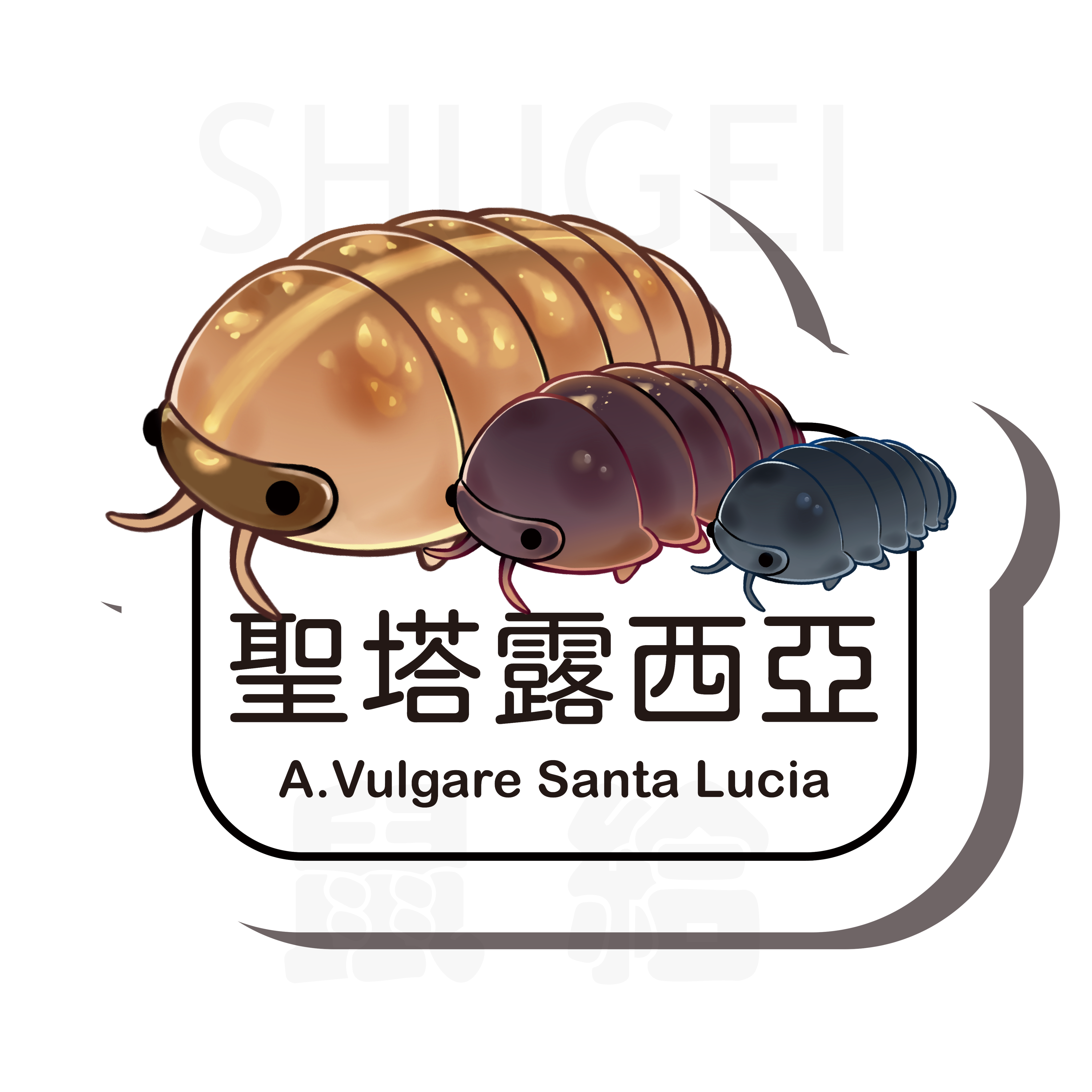 鼠婦名牌貼紙A屬