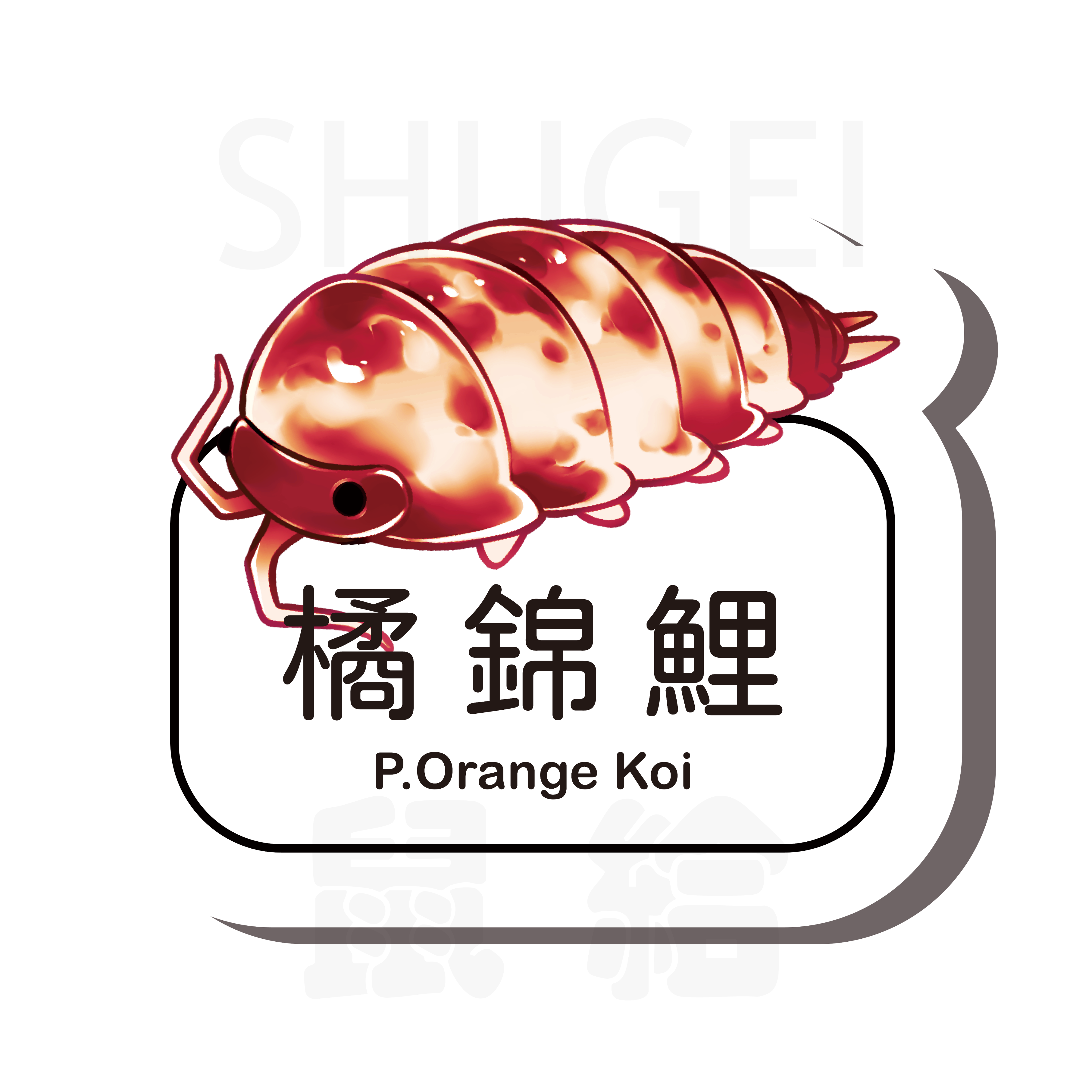 鼠婦名牌貼紙P屬