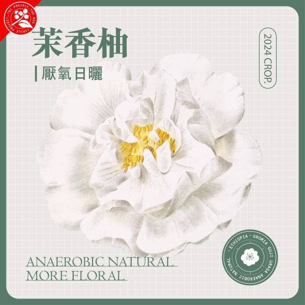 ❮淺中❯ 衣索比亞 古吉 茉香柚 厭氧日曬