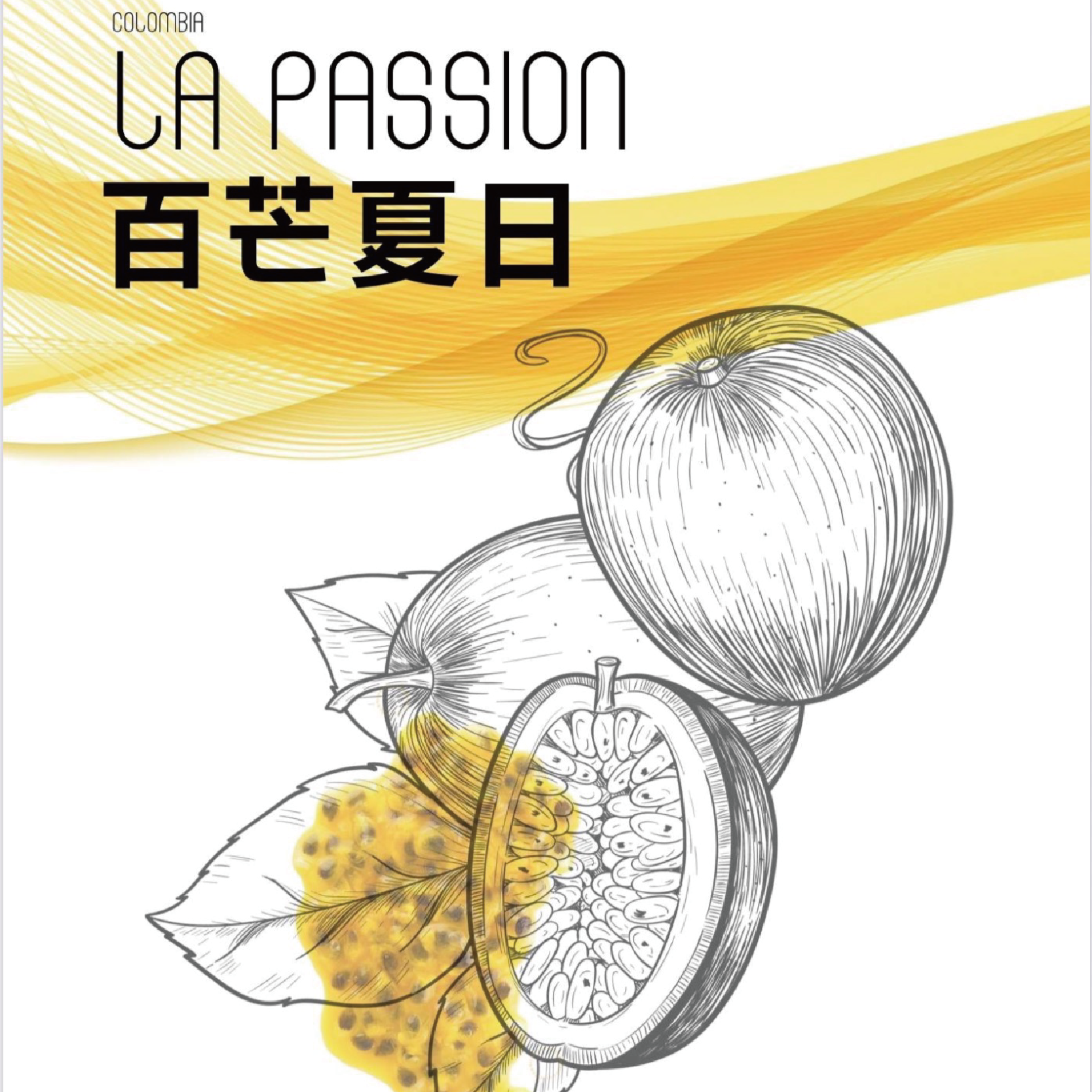 ❮淺焙❯ 哥倫比亞 金迪歐 百芒夏日 熱帶水果酵母 水洗