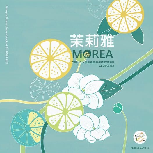 ❮淺焙❯ 衣索比亞 西達摩 茉莉雅 檸檬花蜜 水洗