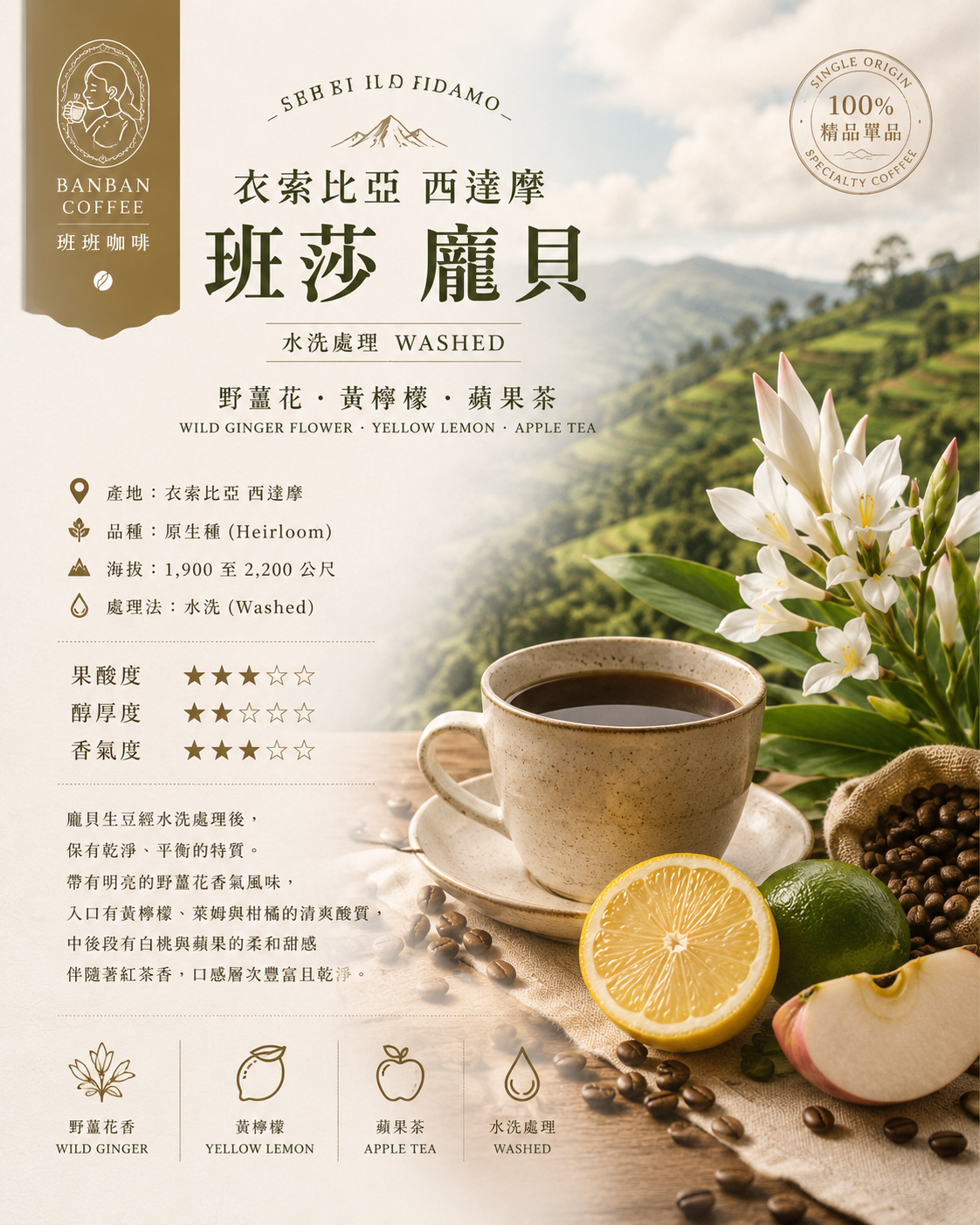 ❮淺焙❯ 衣索比亞 西達摩 班莎 龐貝 水洗