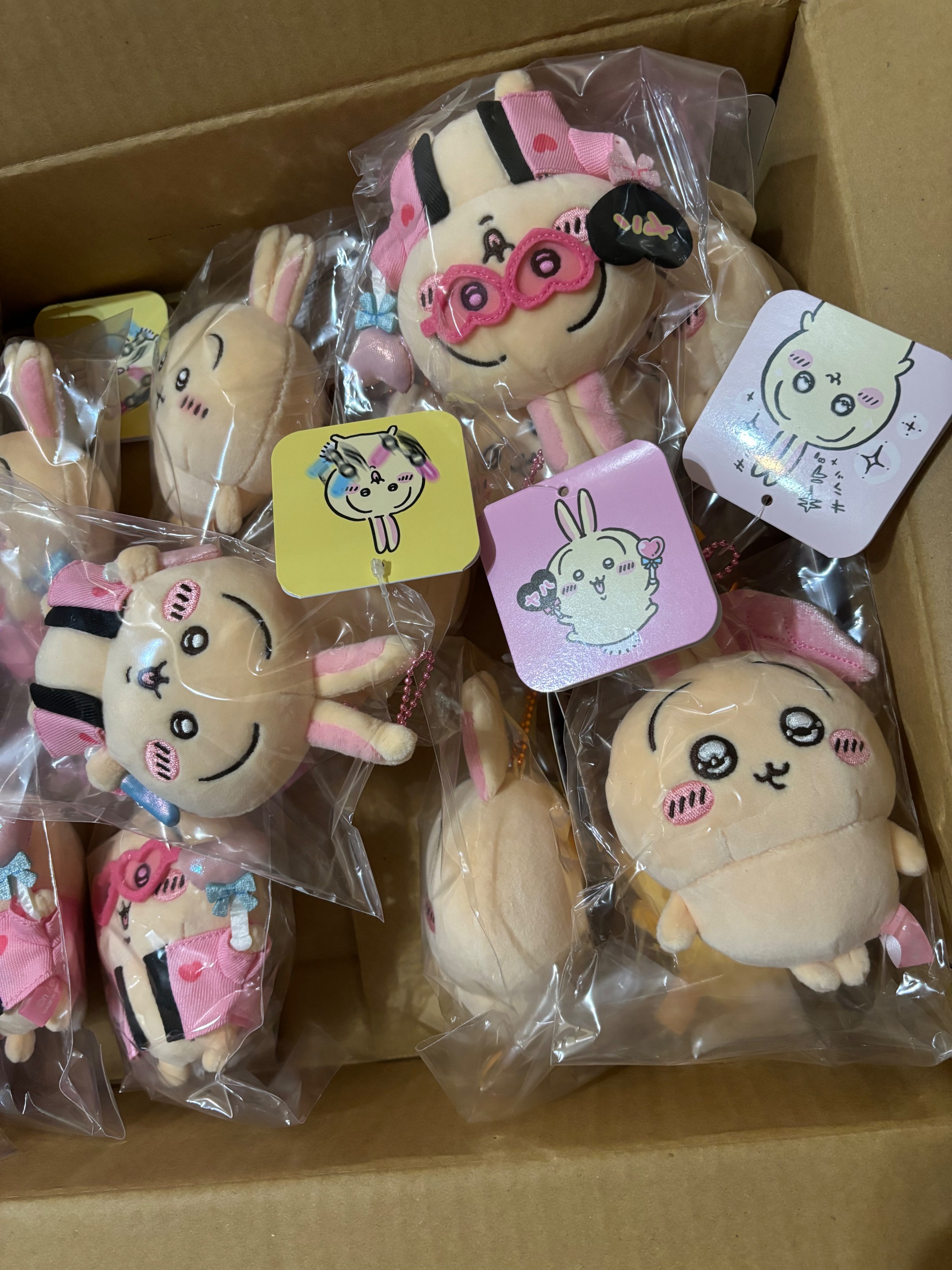 日版受注水汪汪/應援兔