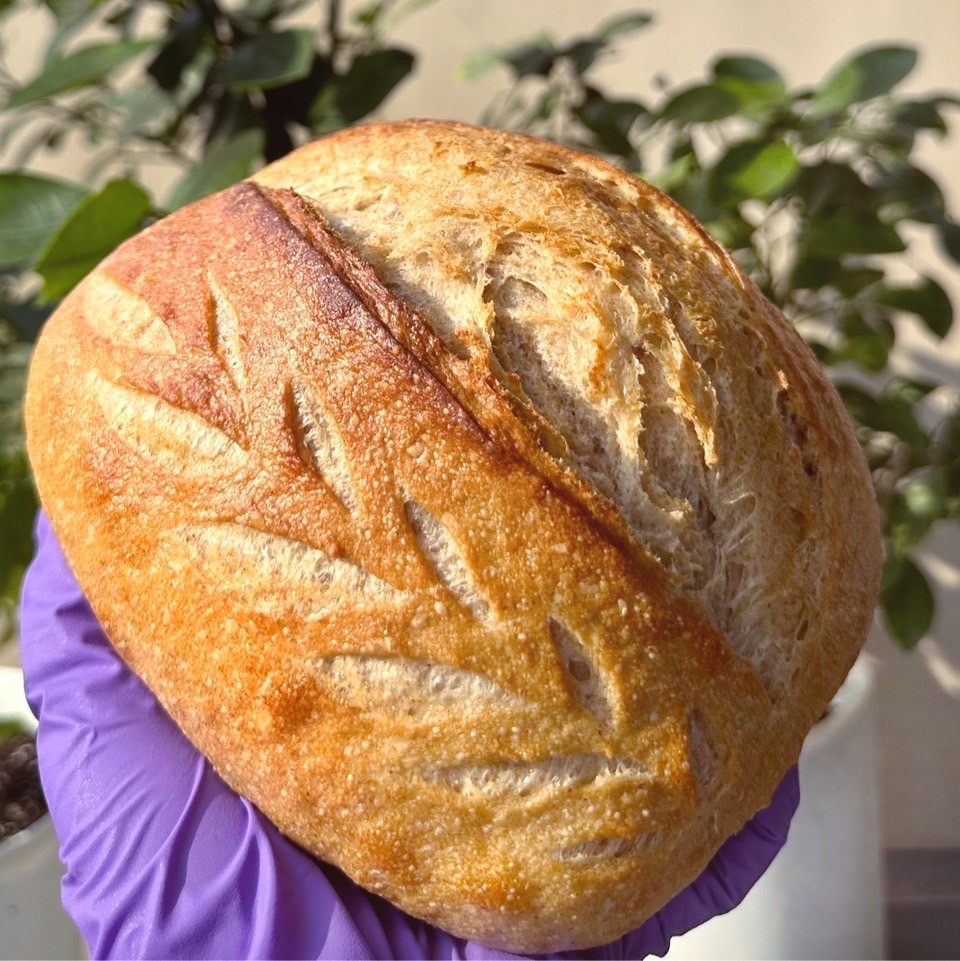 歐式麵包🥖