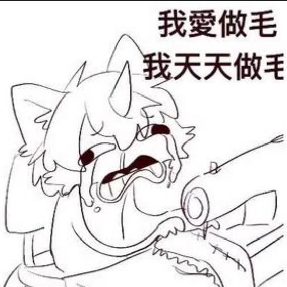 野貓製毛 神秘補款連結