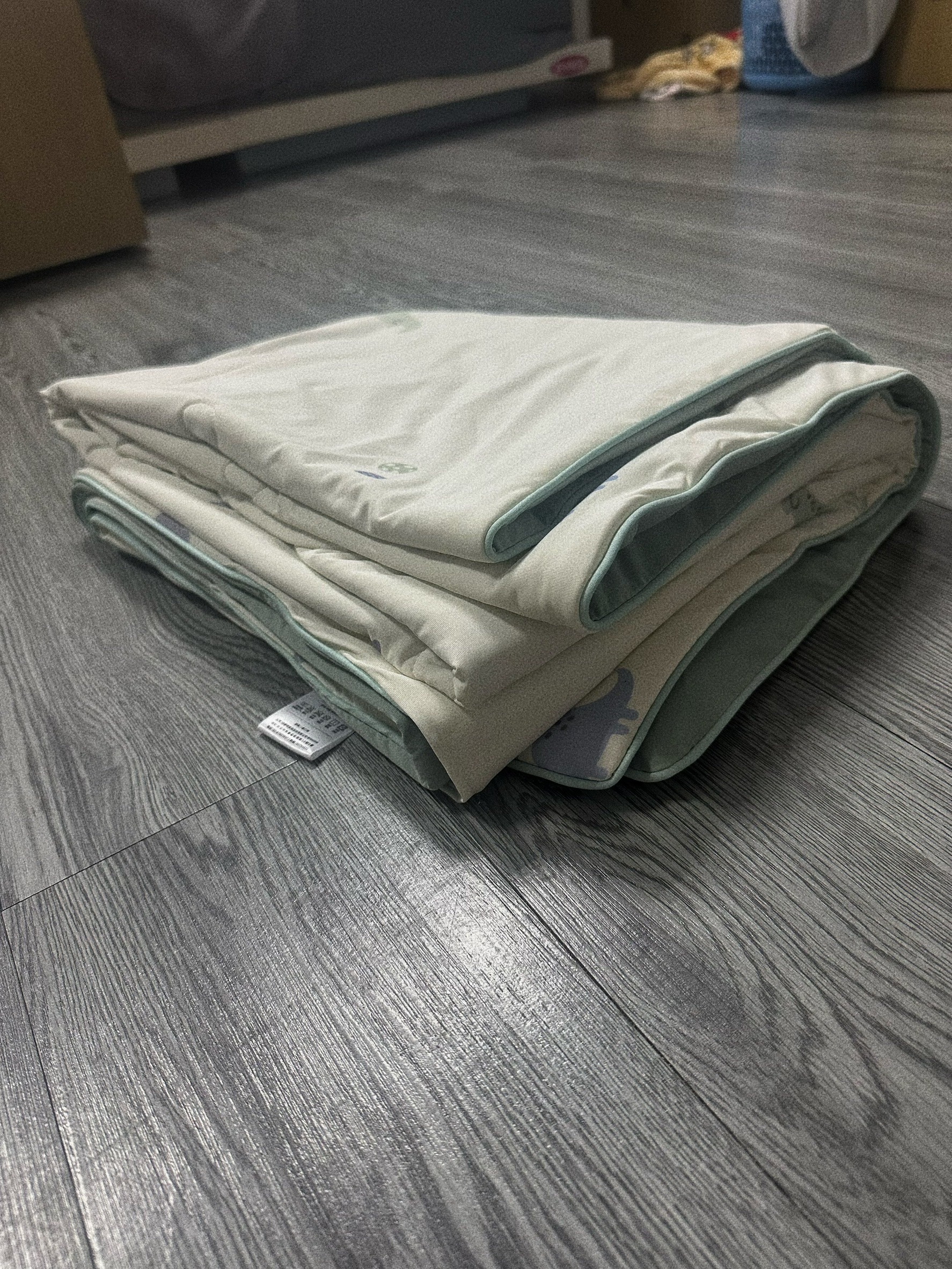恐龍冰冰被