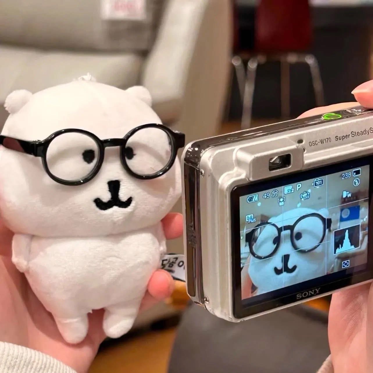 自嘲熊預購區 正版 吊牌有金標防偽標