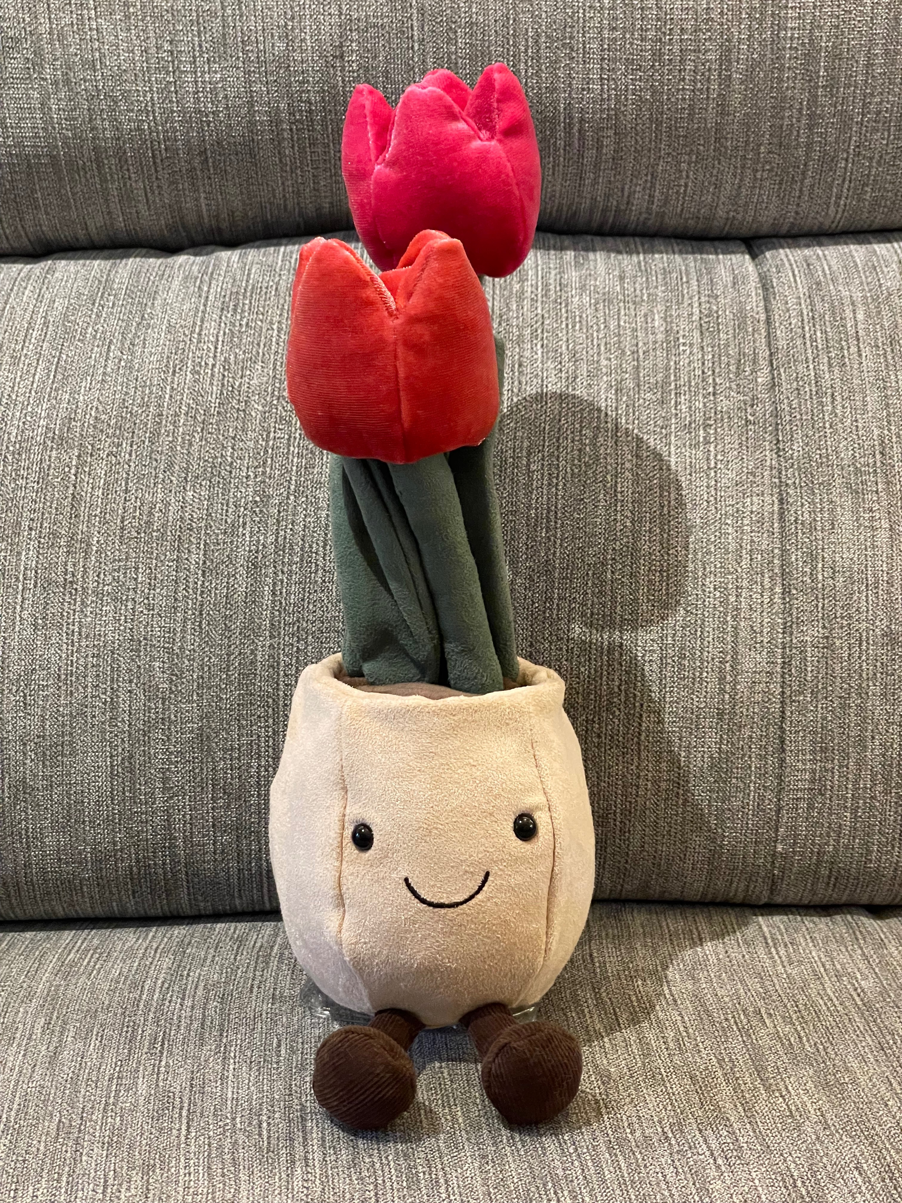 美國官方授權店/中國實體店面（無防塵袋）