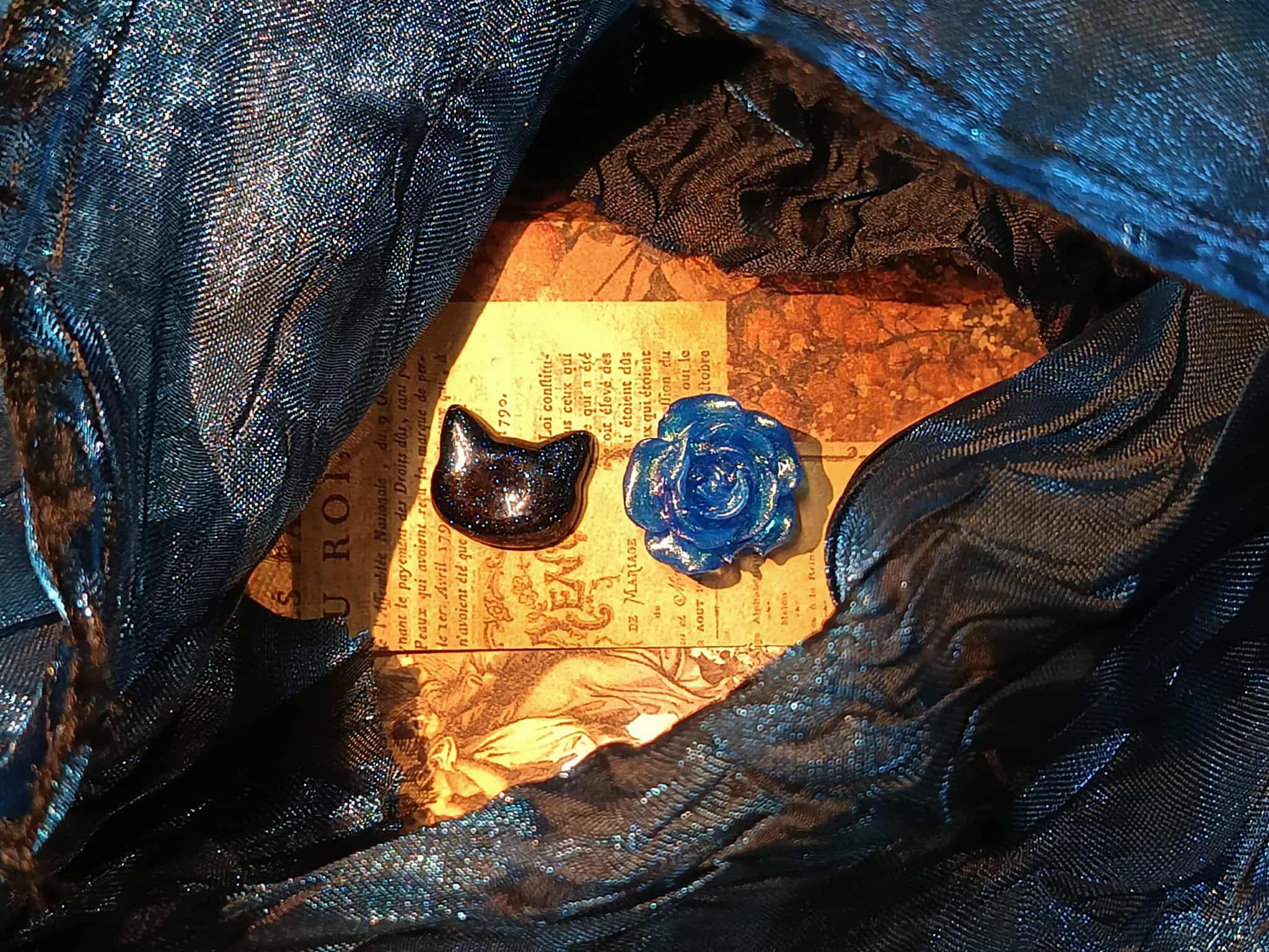 午夜的貓咪與藍玫瑰
