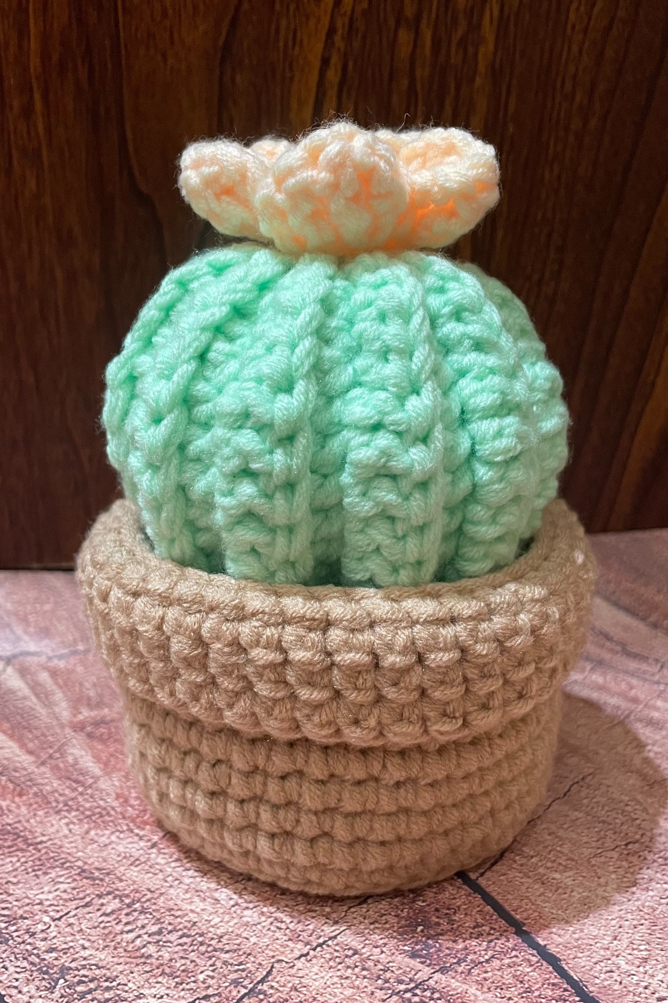 手工編織仙人掌收納盆栽（台灣製毛線）