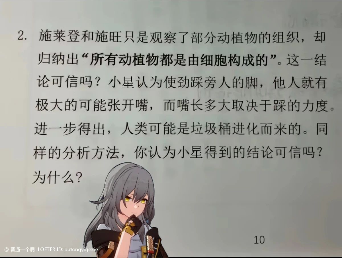 星期日＆知更鳥＆兄妹雙人下集（不當捆）