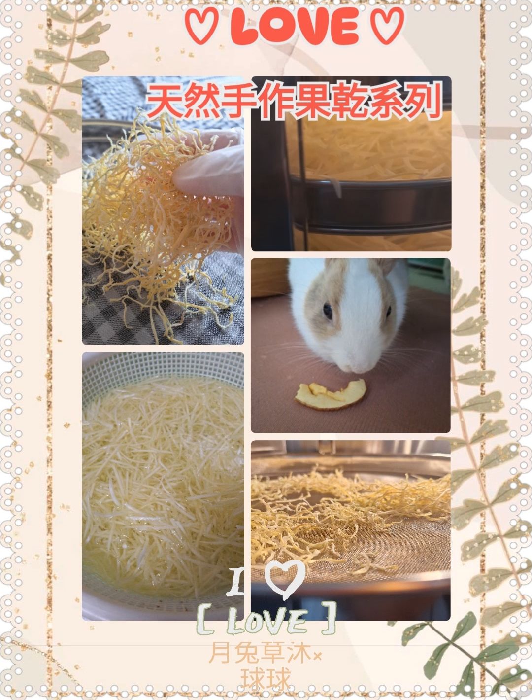 預購-天然手作果乾蔬菜乾系列