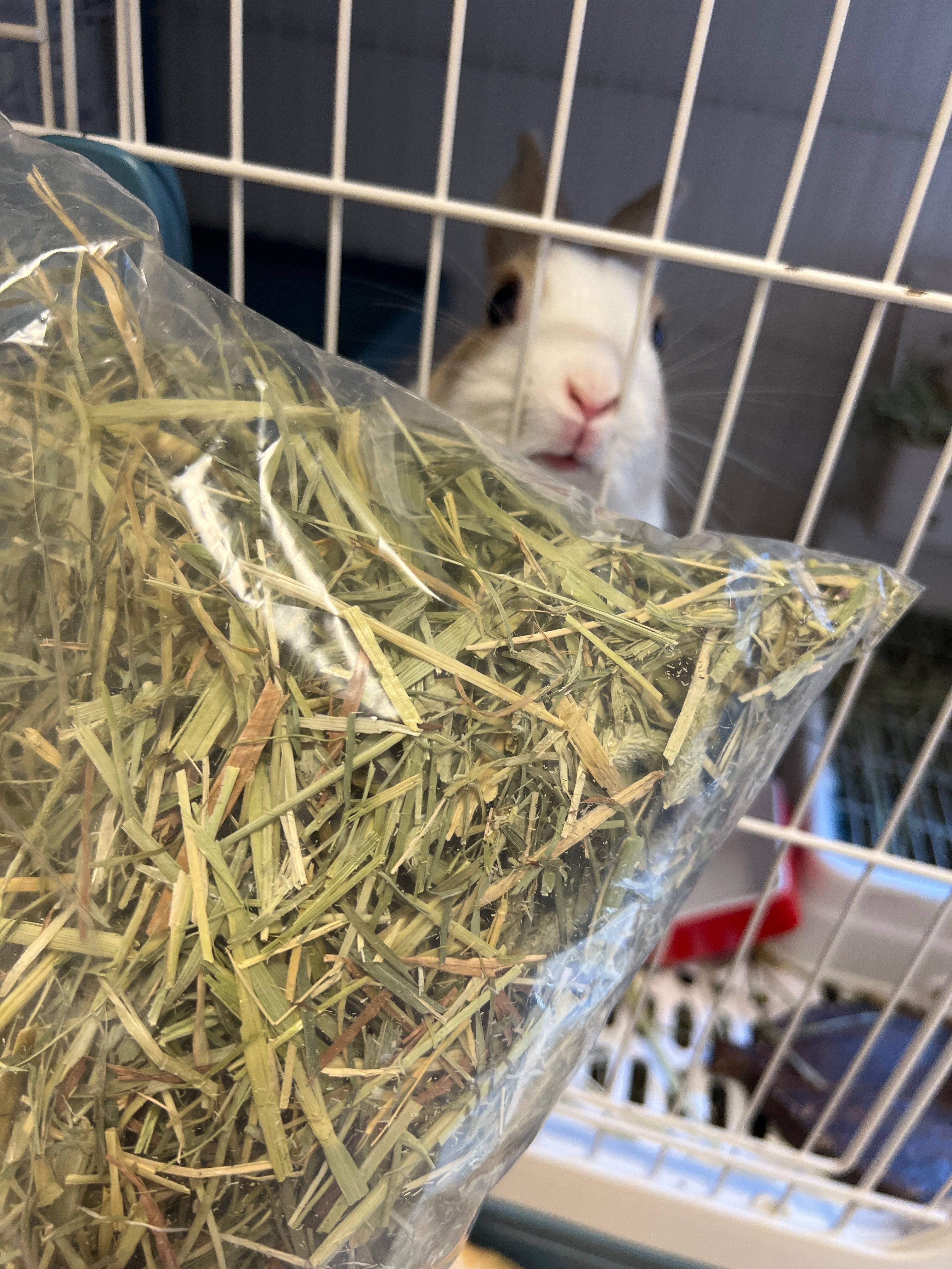 過篩草草在這（1單限3kg）
