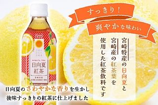 日本🇯🇵 農協 日向夏紅茶風味飲 500ml