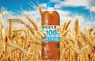 日本🇯🇵國產大麥100% 無糖茶 680ml