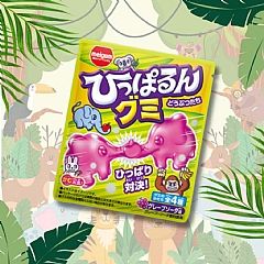 日本🇯🇵Meigum 動物造型軟糖 葡萄風味 23g