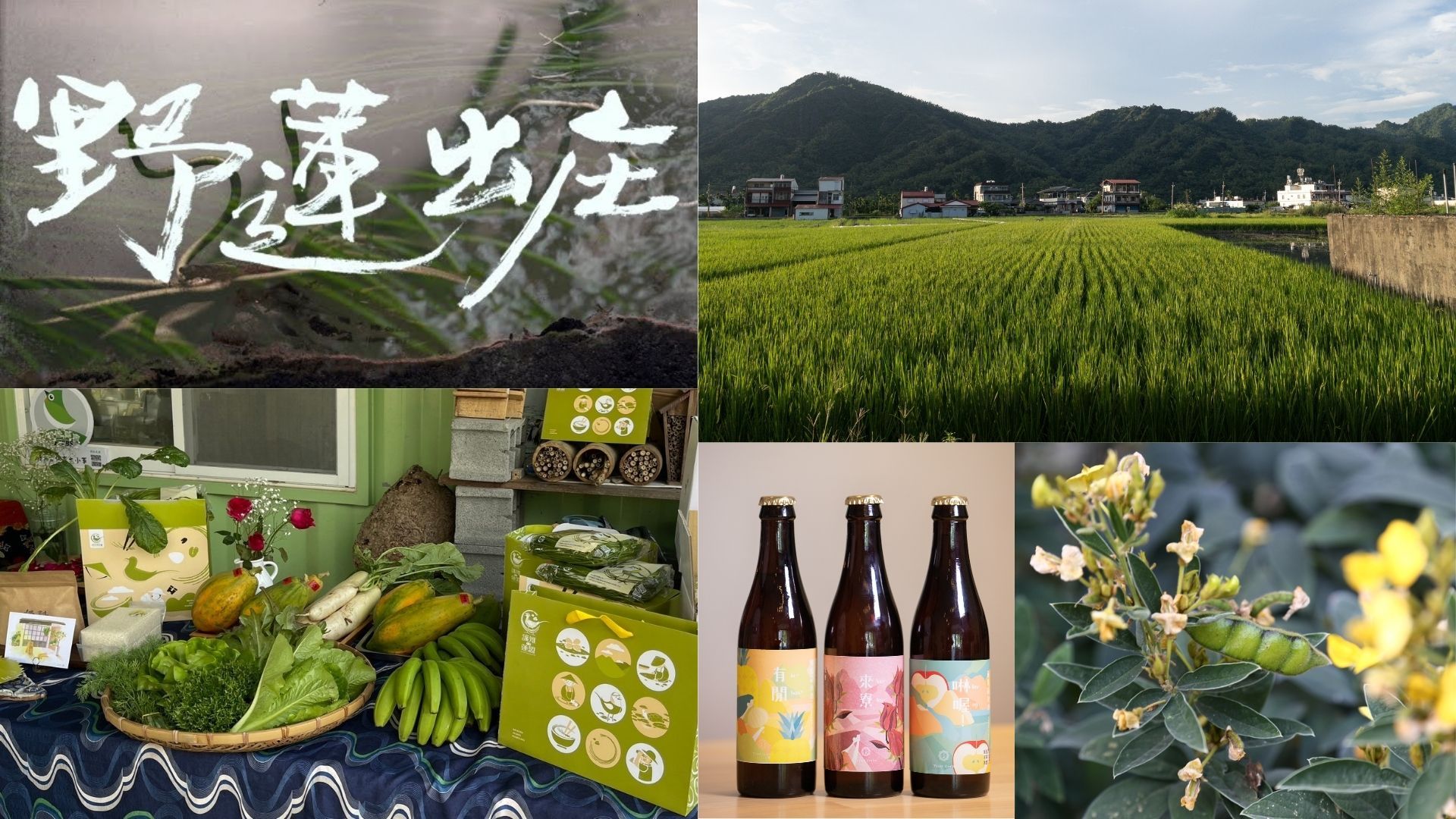 2025客庄小旅行:::《豐沛大款・風土相伴》—客庄美濃自然人文二日精緻遊