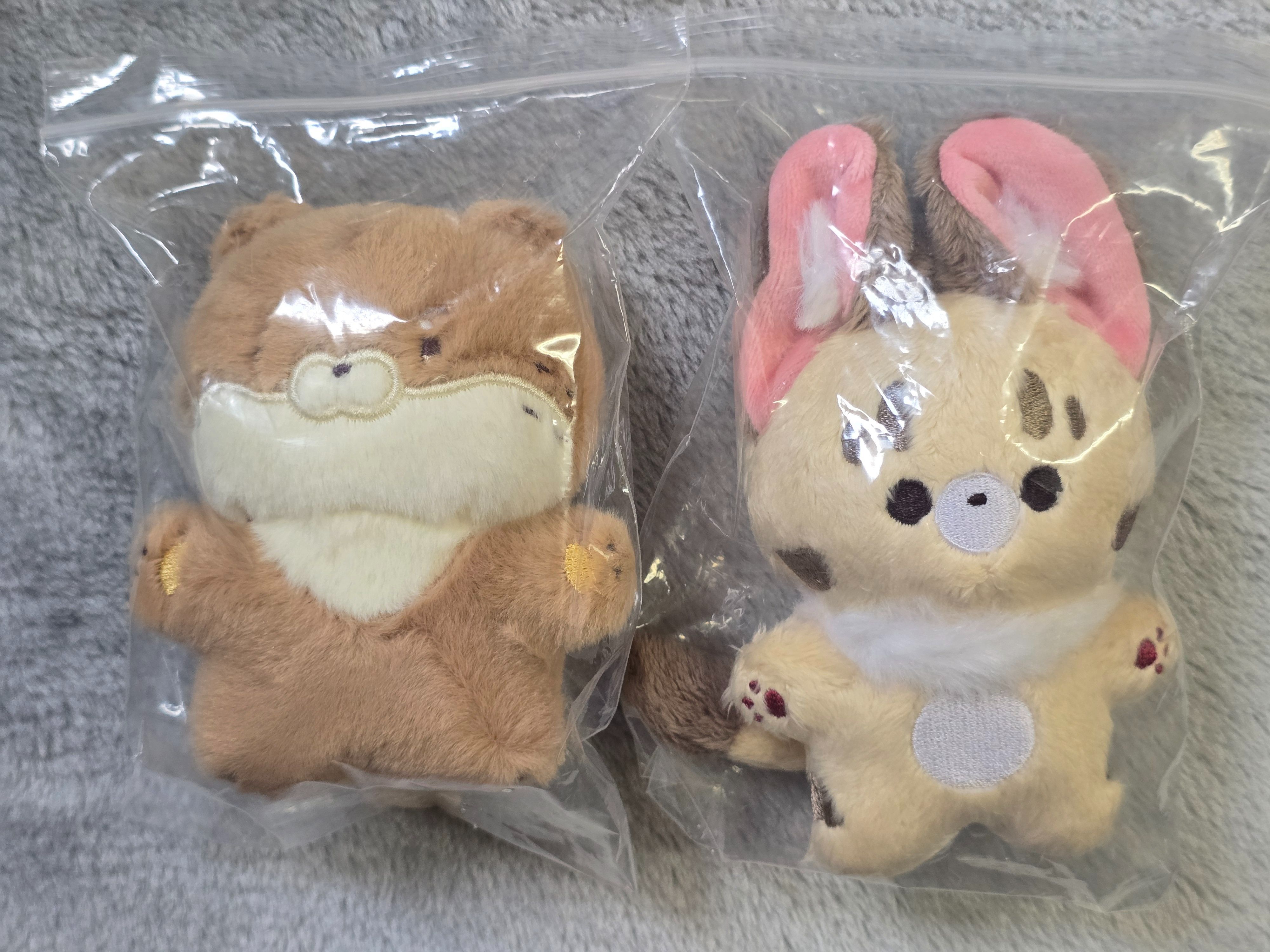 10cm 動物體