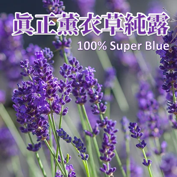 真正（Super Blue）薰衣草純露
