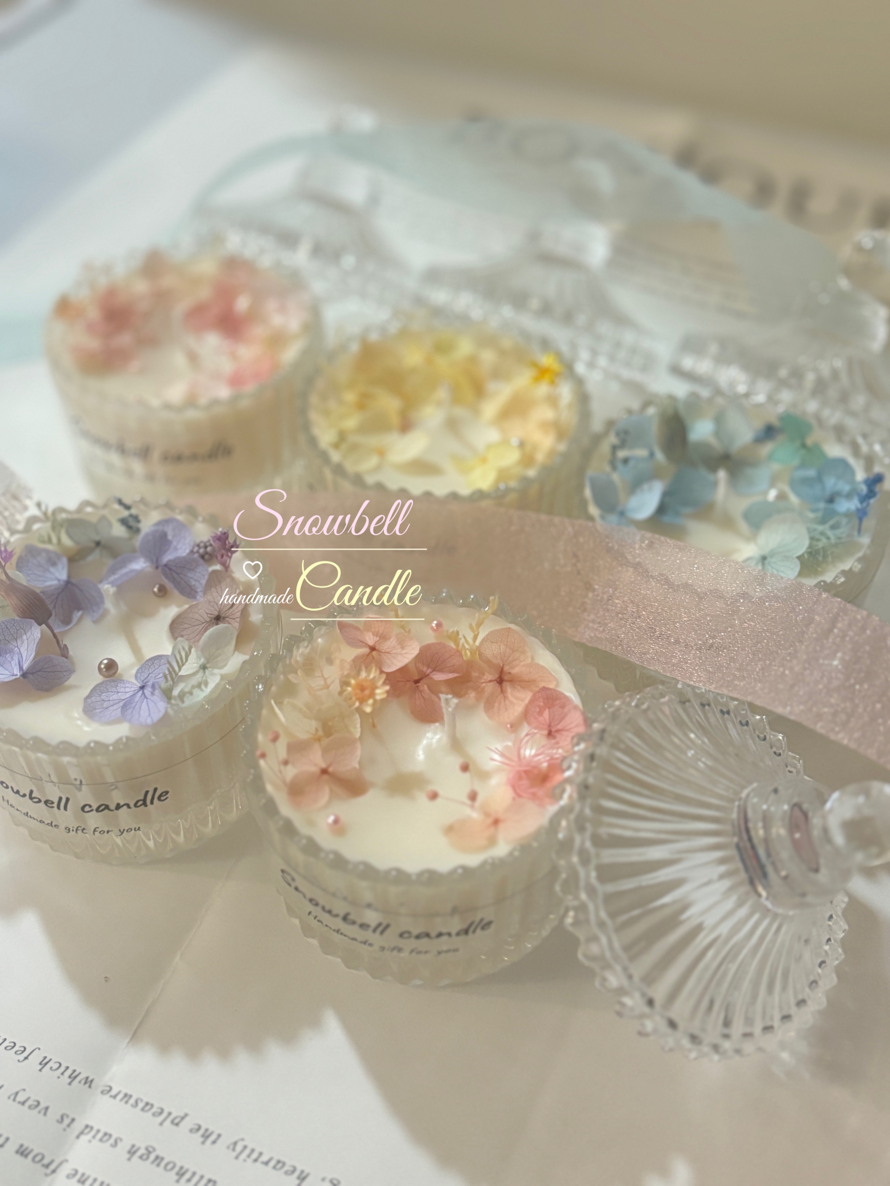 💐春日裡的玻璃花花溫室🦋